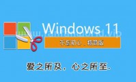 Windows11 不忘初心精简版（更新至23H2_22631.3737版本）