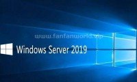 Windows Server 2019（中文版）