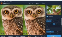 Topaz Gigapixel AI 破解便携版（人工智能图片无损放大软件）（更新至v8.0.0版本）