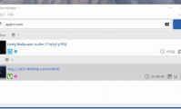 Hitomi Downloader 官方中文版（多功能下载工具）（更新至v4.2版本）