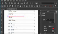 MasterPDFEditor PRO 便携版（更新至v5.9.89版本）